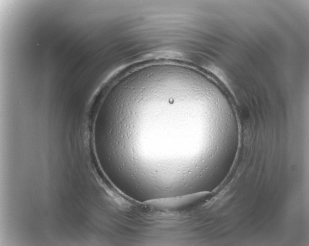 X0000068301115200605051926