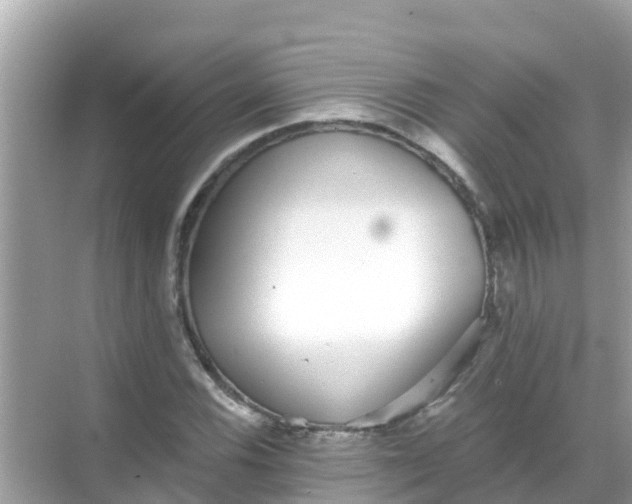 X0000068301116200605051926