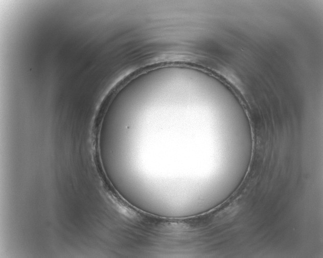 X0000068301119200605051926