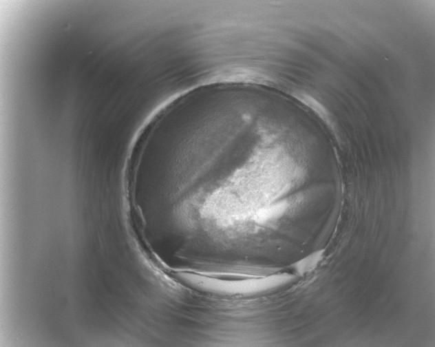 X0000068301120200605051926