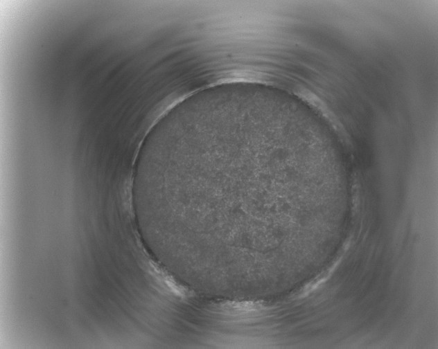 X0000068301121200605051926