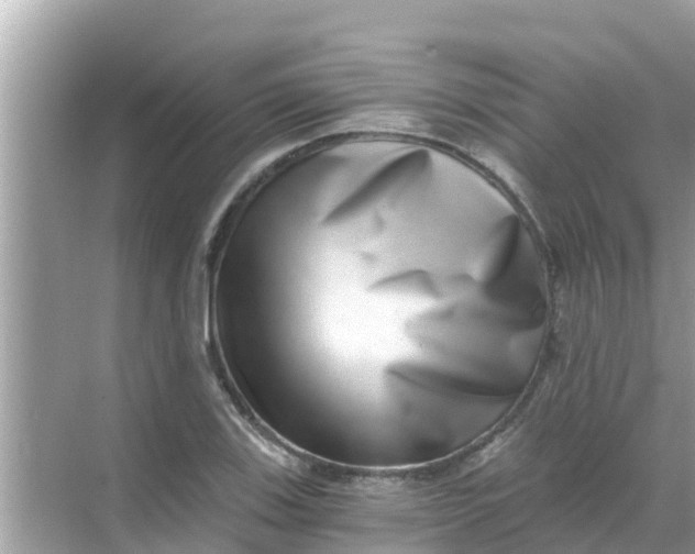 X0000068301123200605051926