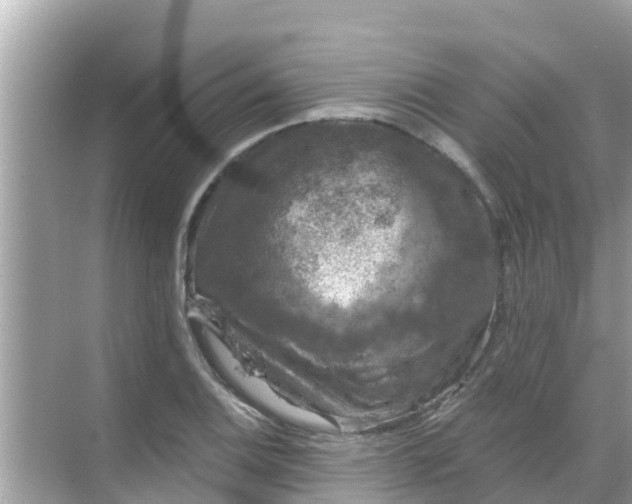 X0000068301124200605051926