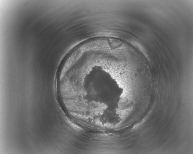 X0000068301125200605051926