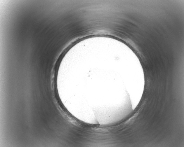 X0000068301126200605051926