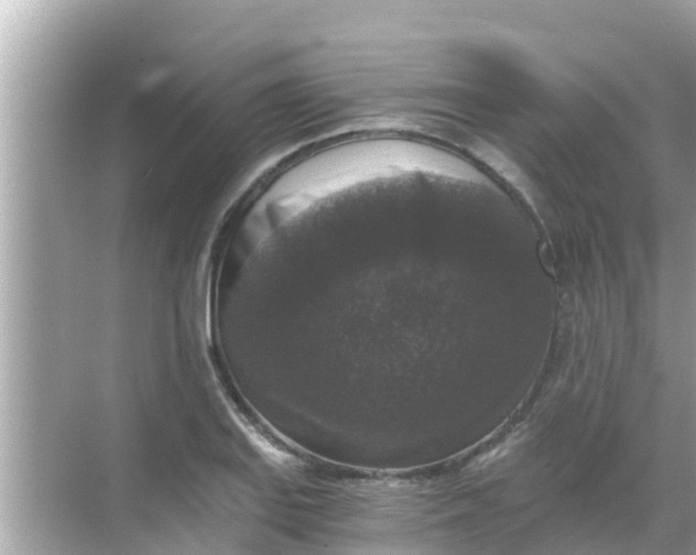 X0000068301127200605051926