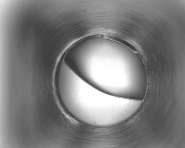 X0000068301128200605051926