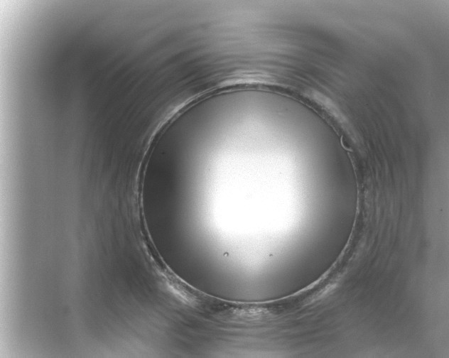 X0000068301129200605051926