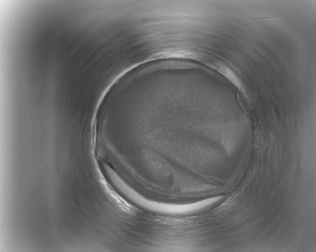 X0000068301132200605051926