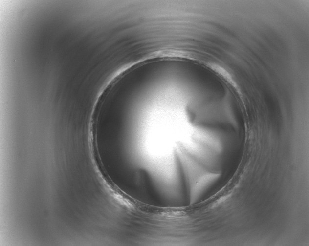 X0000068301133200605051926