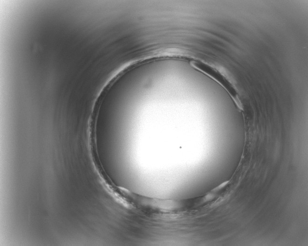 X0000068301134200605051926