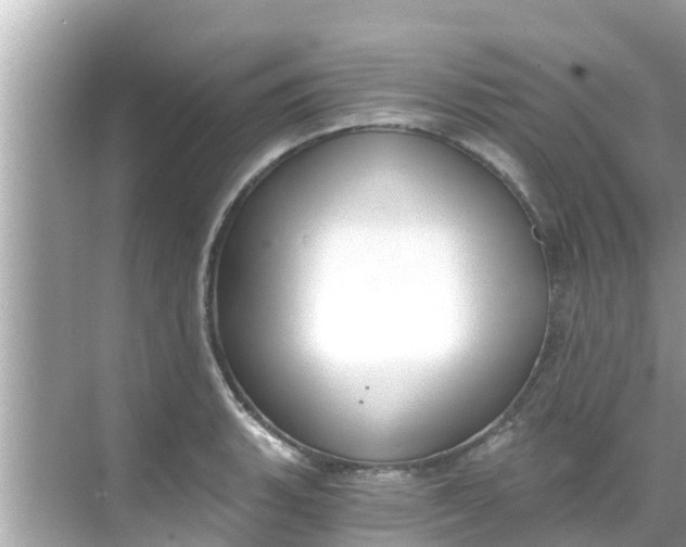 X0000068301135200605051926