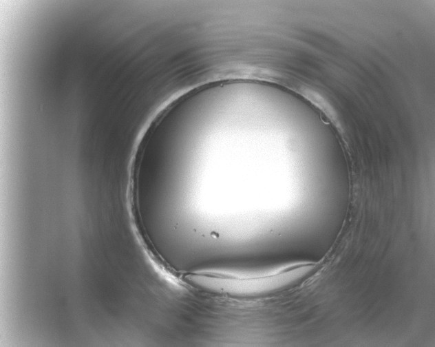 X0000068301136200605051926