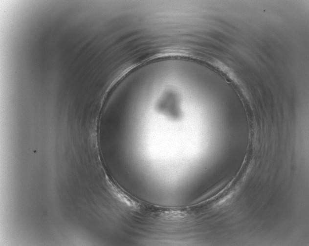 X0000068301137200605051926