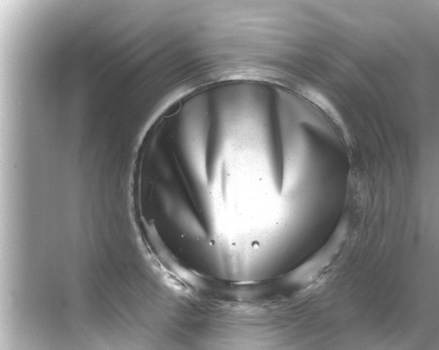 X0000068301138200605051926