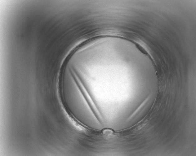 X0000068301139200605051926