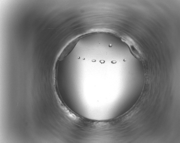 X0000068301140200605051926