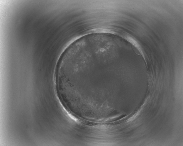 X0000068301141200605051926