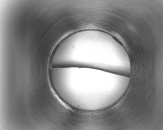 X0000068301142200605051926