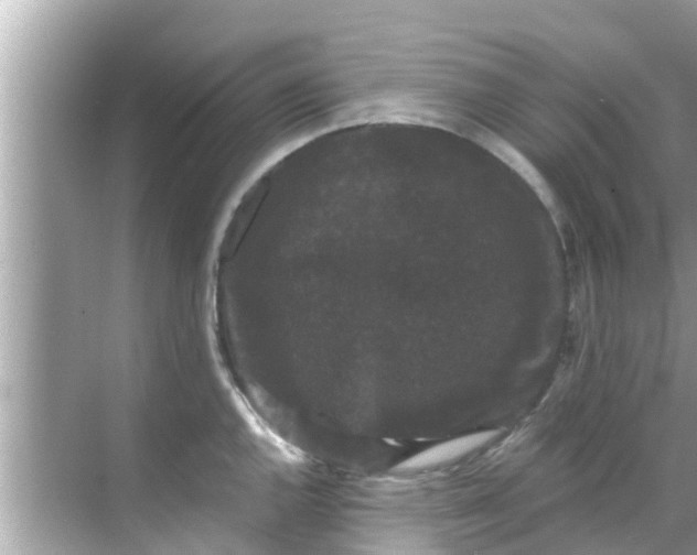 X0000068301144200605051926