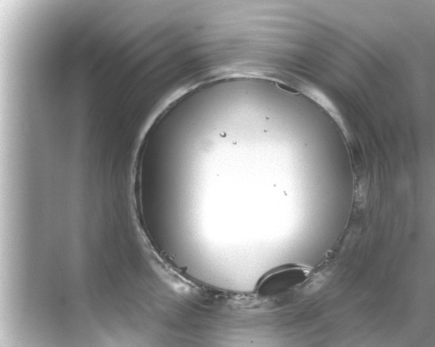 X0000068301146200605051926