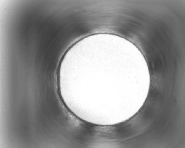 X0000068301150200605051926