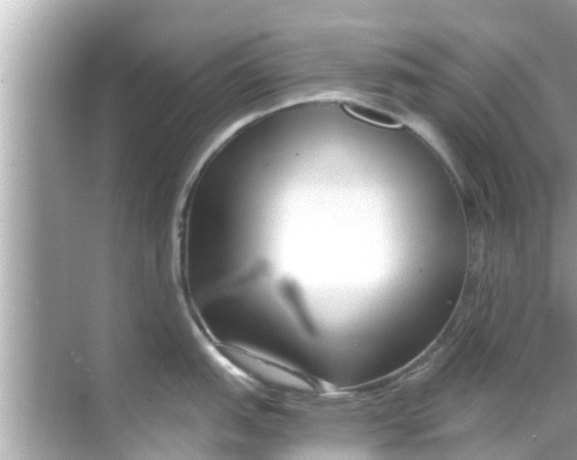 X0000068301151200605051926