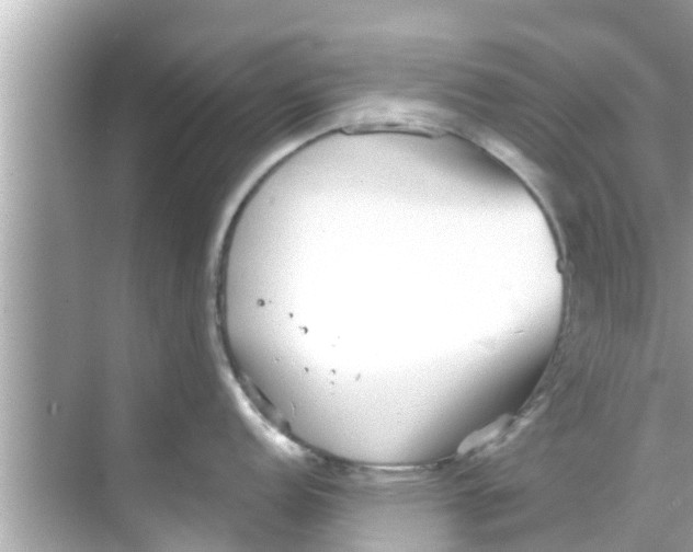 X0000068301152200605051926