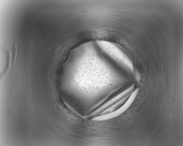 X0000068301153200605051926