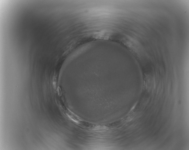 X0000068301154200605051926