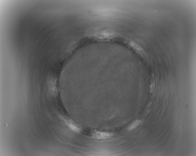 X0000068301156200605051926