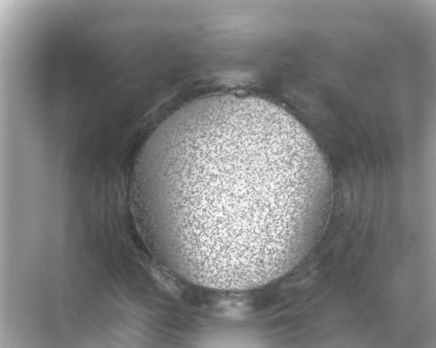 X0000068301158200605051926