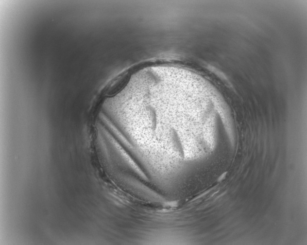 X0000068301160200605051926