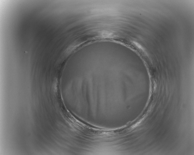 X0000068301161200605051926