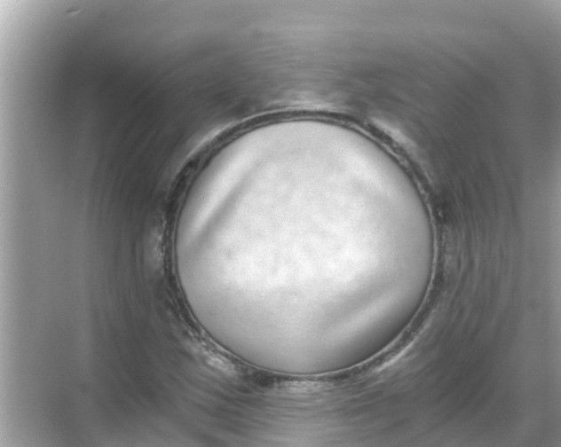 X0000068301163200605051925