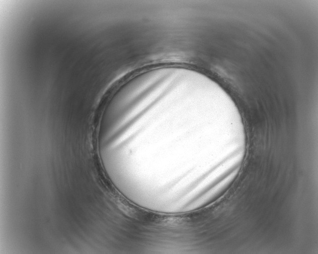 X0000068301166200605051925