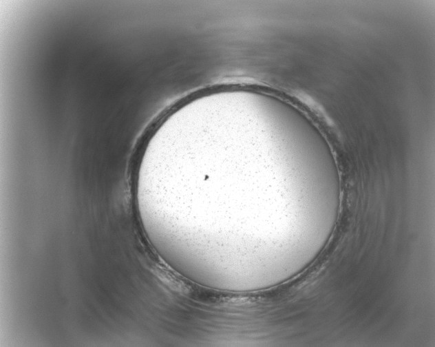 X0000068301167200605051925