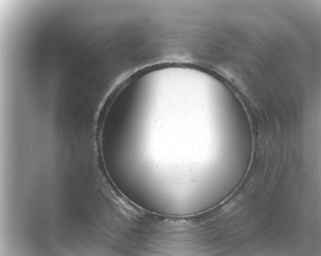 X0000068301168200605051925