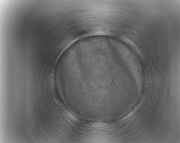 X0000068301170200605051925