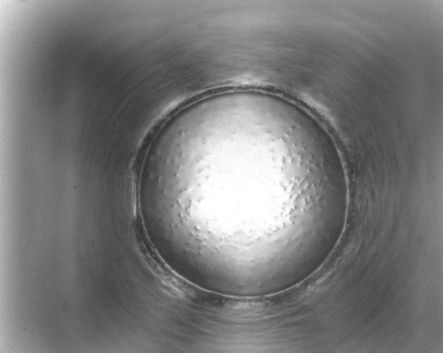 X0000068301171200605051925