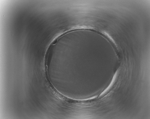 X0000068301173200605051925