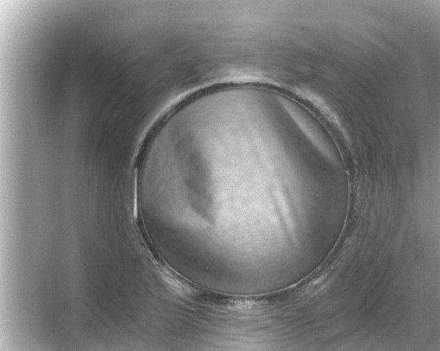 X0000068301175200605051925