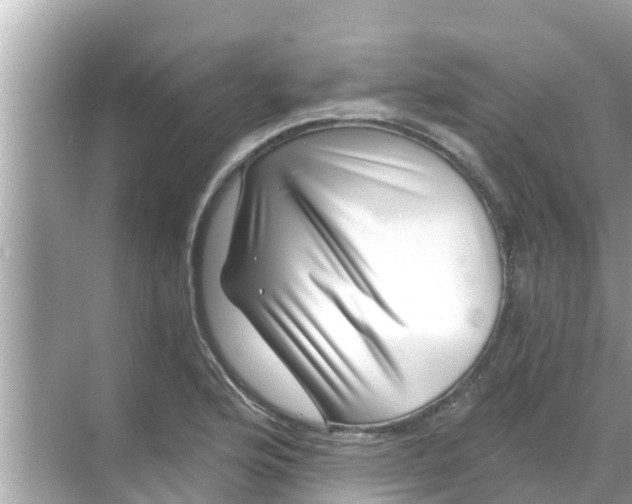 X0000068301176200605051925