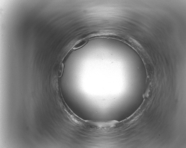 X0000068301177200605051925