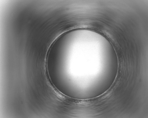 X0000068301178200605051925