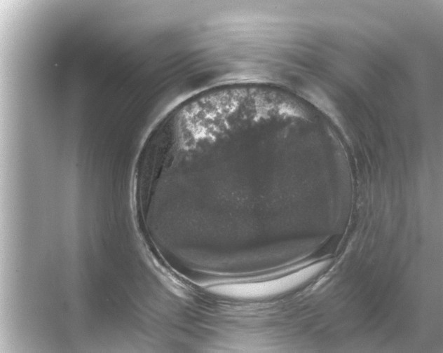 X0000068301179200605051925