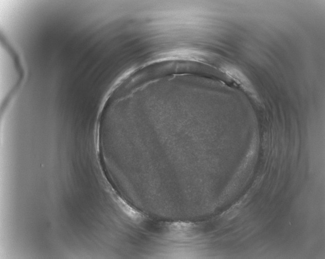 X0000068301180200605051925