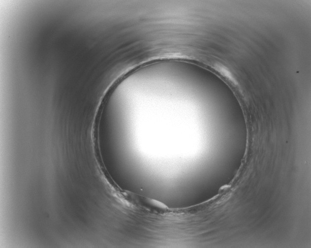 X0000068301181200605051925