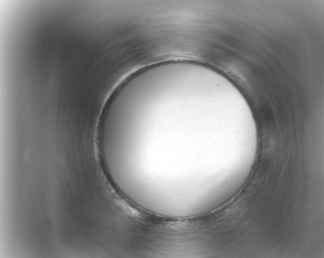 X0000068301182200605051925