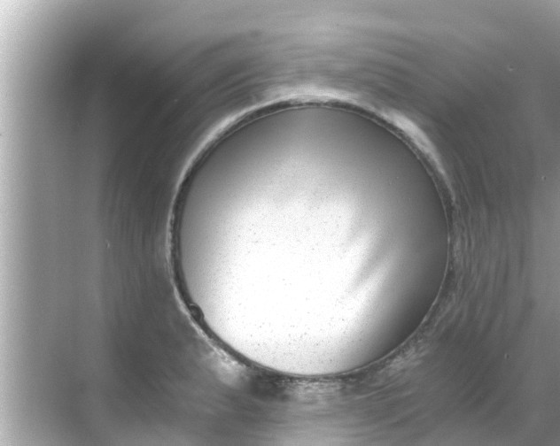 X0000068301183200605051925